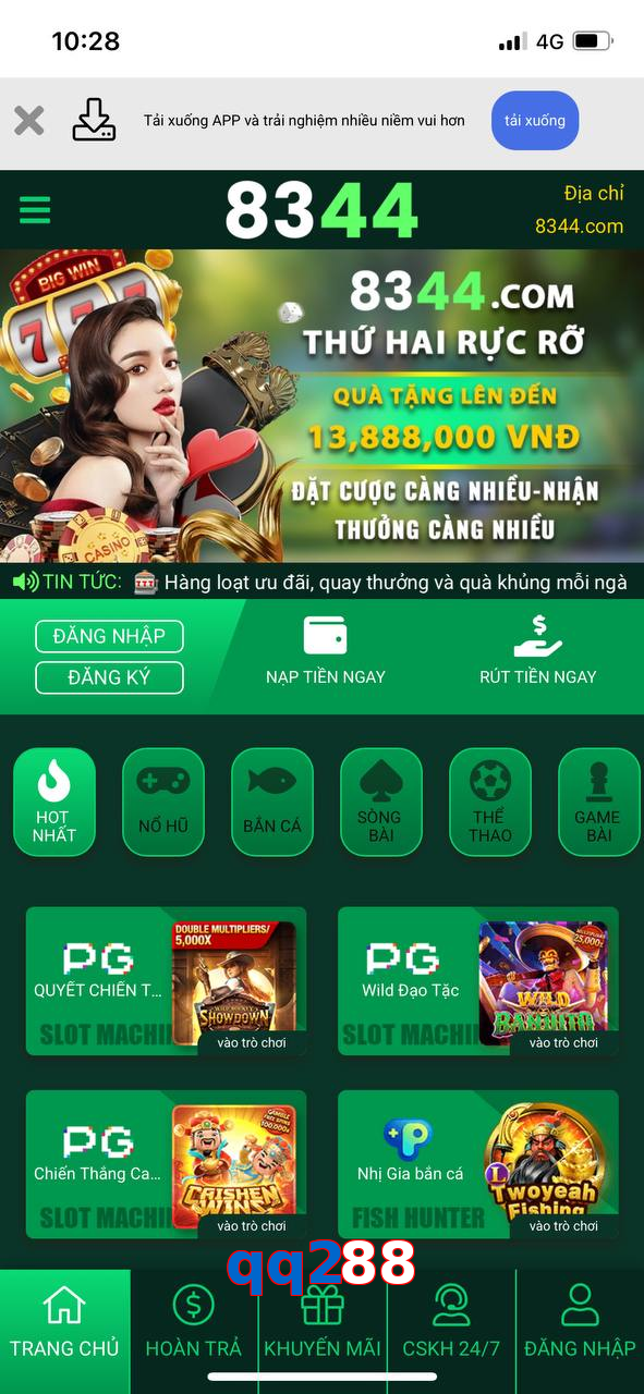 qq288